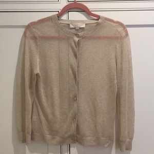 Ann Taylor Loft Italian Yarn Sheer Cardigan